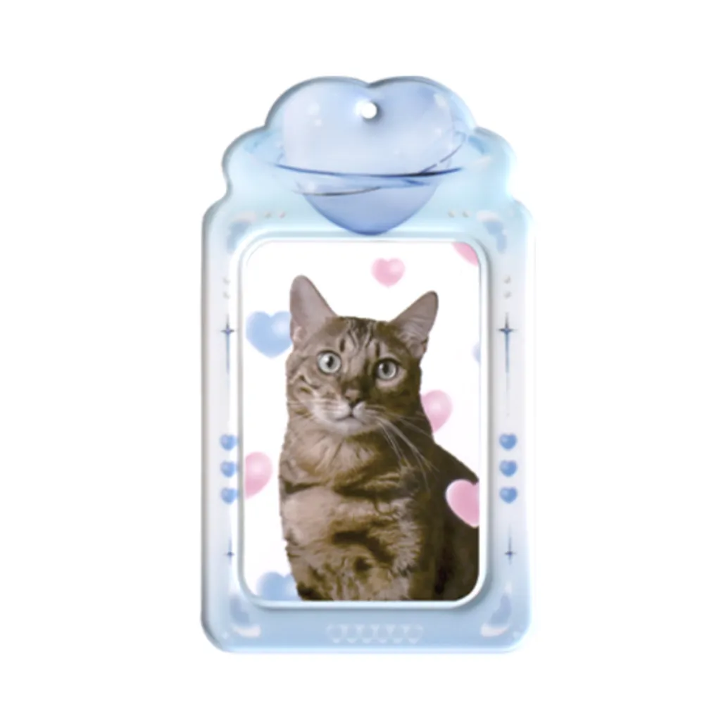 [VIVID x BE ON :D] מחזיק קארדים - לב כחול