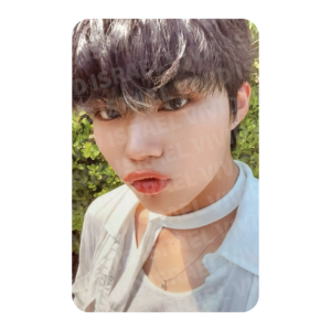 ZEROBASEONE GUNWOOK - Youth in the Shade Shade ver. Photocard