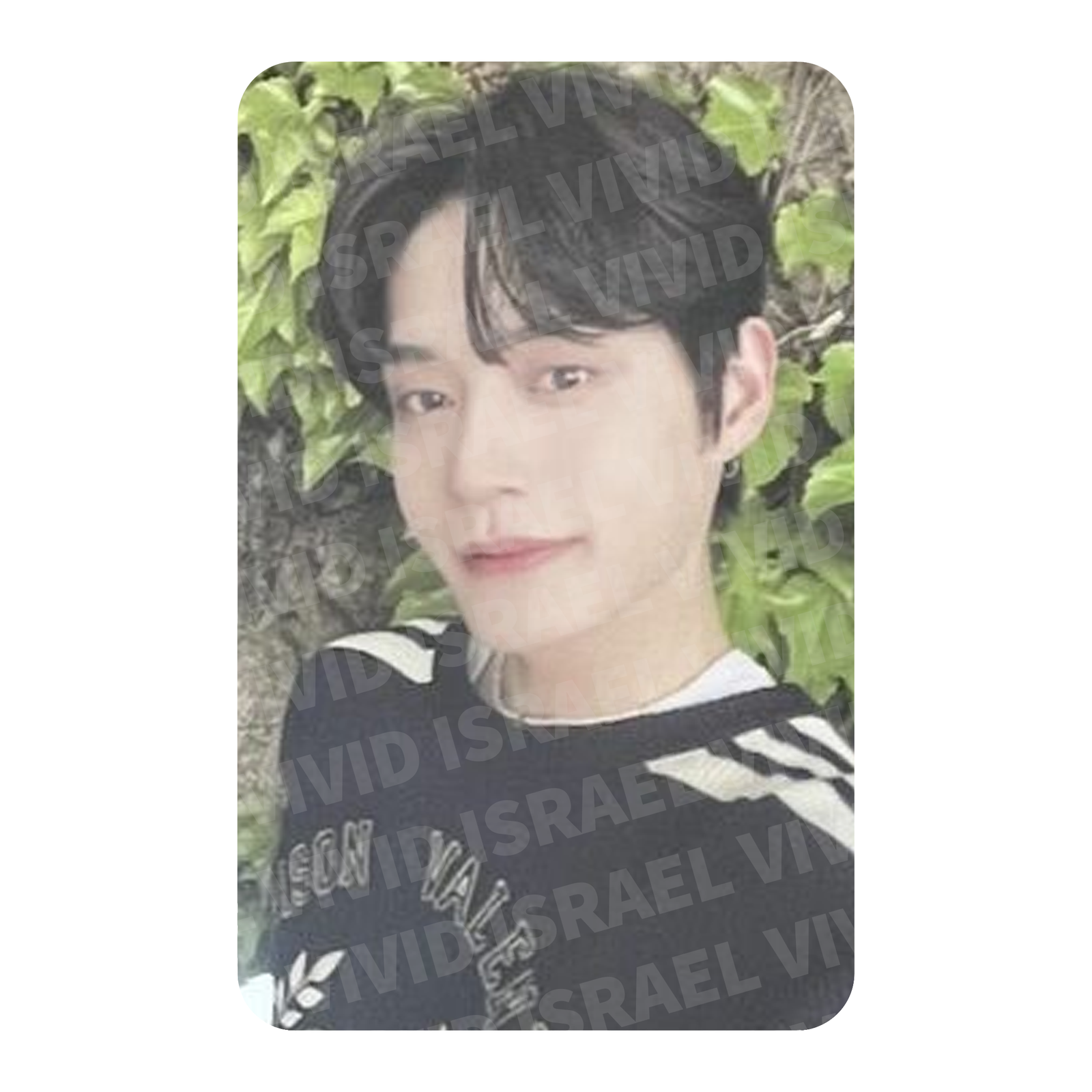 ZEROBASEONE JIWOONG - Fankit Photocard