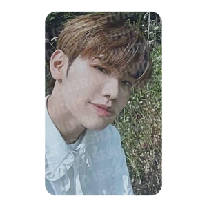ZEROBASEONE TAERAE - Youth in the Shade SOUNDWAVE Lucky Draw Photocard