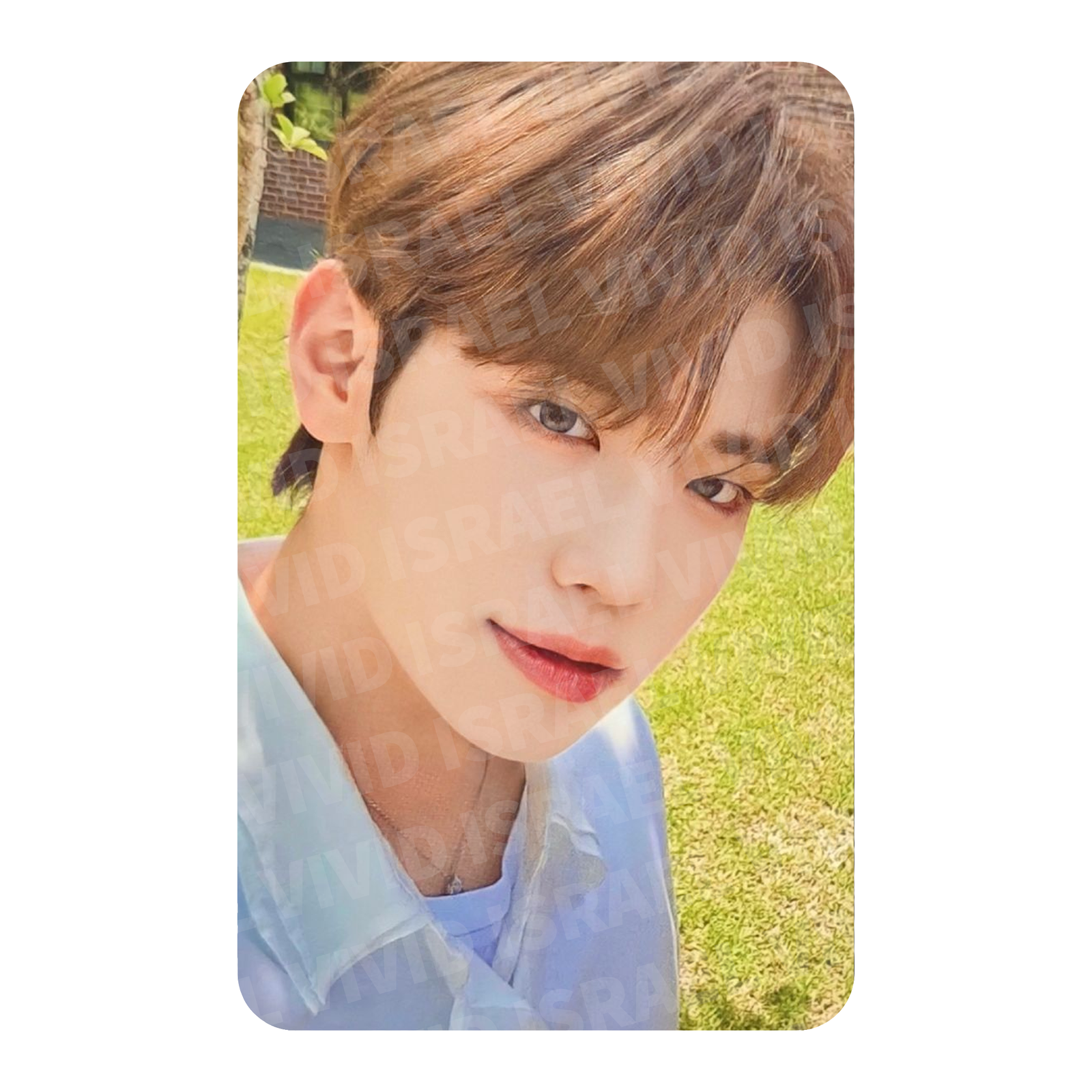 ZEROBASEONE TAERAE - Youth in the Shade SOUNDWAVE Photocard