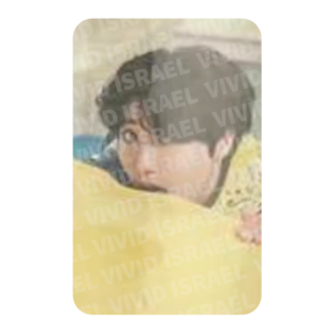 STRAY KIDS HAN - SKZ'S MINI WORLD Photocard