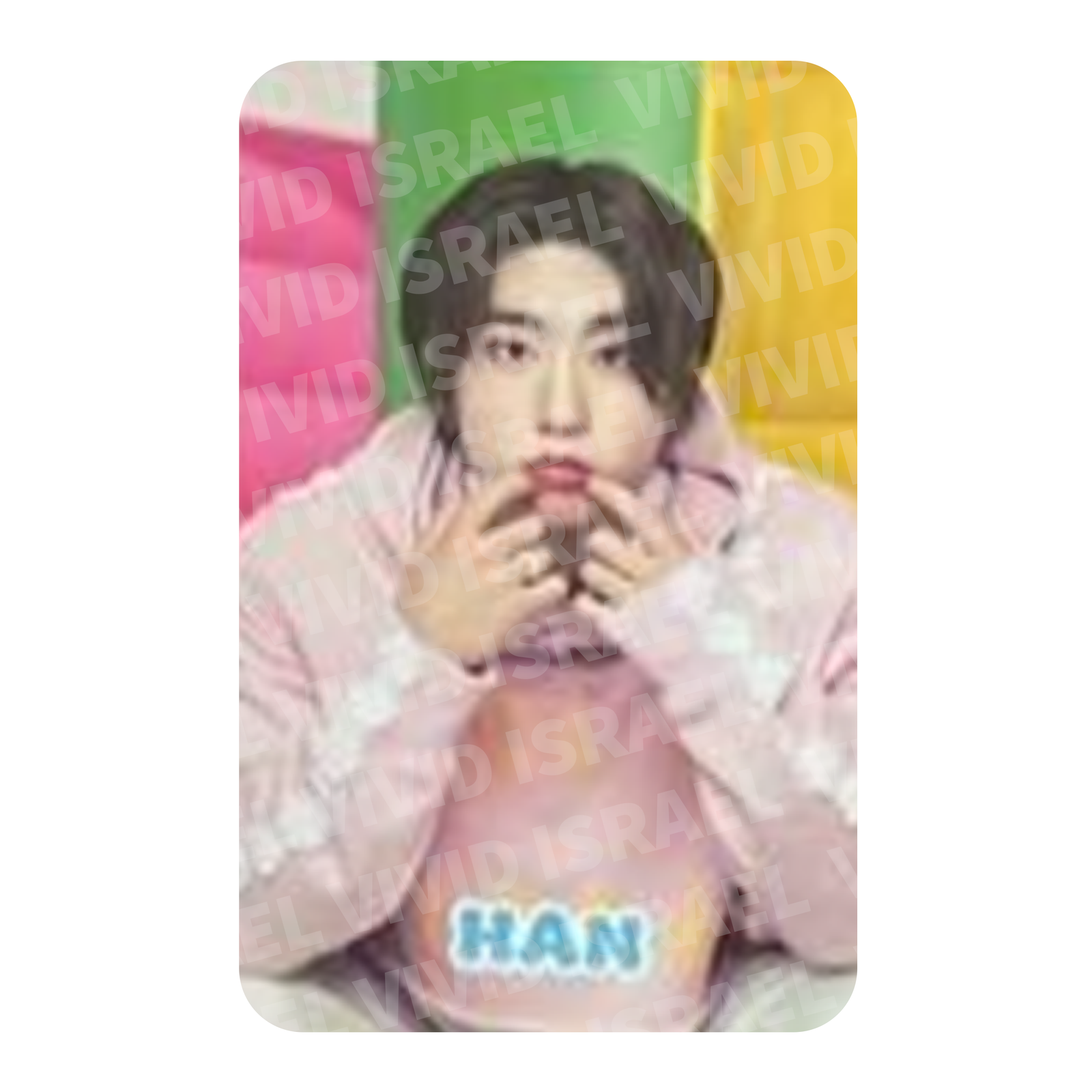 STRAY KIDS HAN - JAPAN SEASON'S GREETINGS 2024 "Air-ful" Photocard