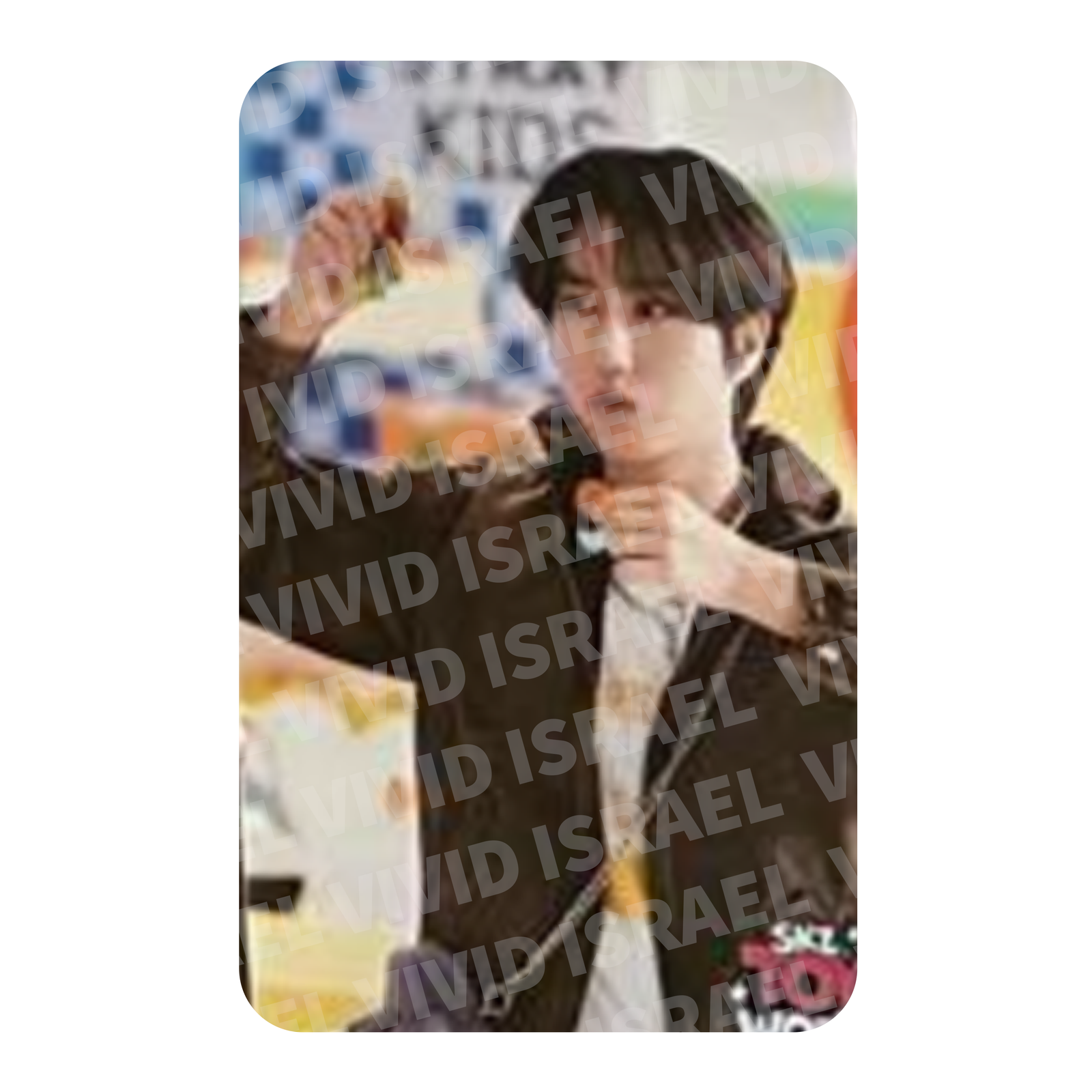STRAY KIDS HAN – Fan Connecting 2024 "SKZ TOY WORLD" Sticker Photocard