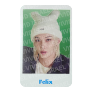 STRAY KIDS FELIX - Fan Connecting 2024 "SKZ TOY WORLD" Photocard