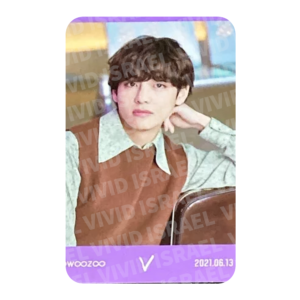 BTS V - sowoozoo Mini Photocard