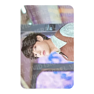 BTS V - sowoozoo Mini Photocard