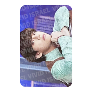 BTS V - sowoozoo Mini Photocard