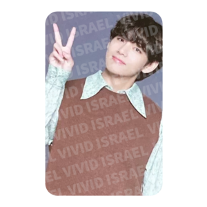 BTS V - sowoozoo Mini Photocard