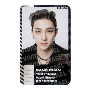 STRAY KIDS BANG CHAN – ODDINARY ID Photocard