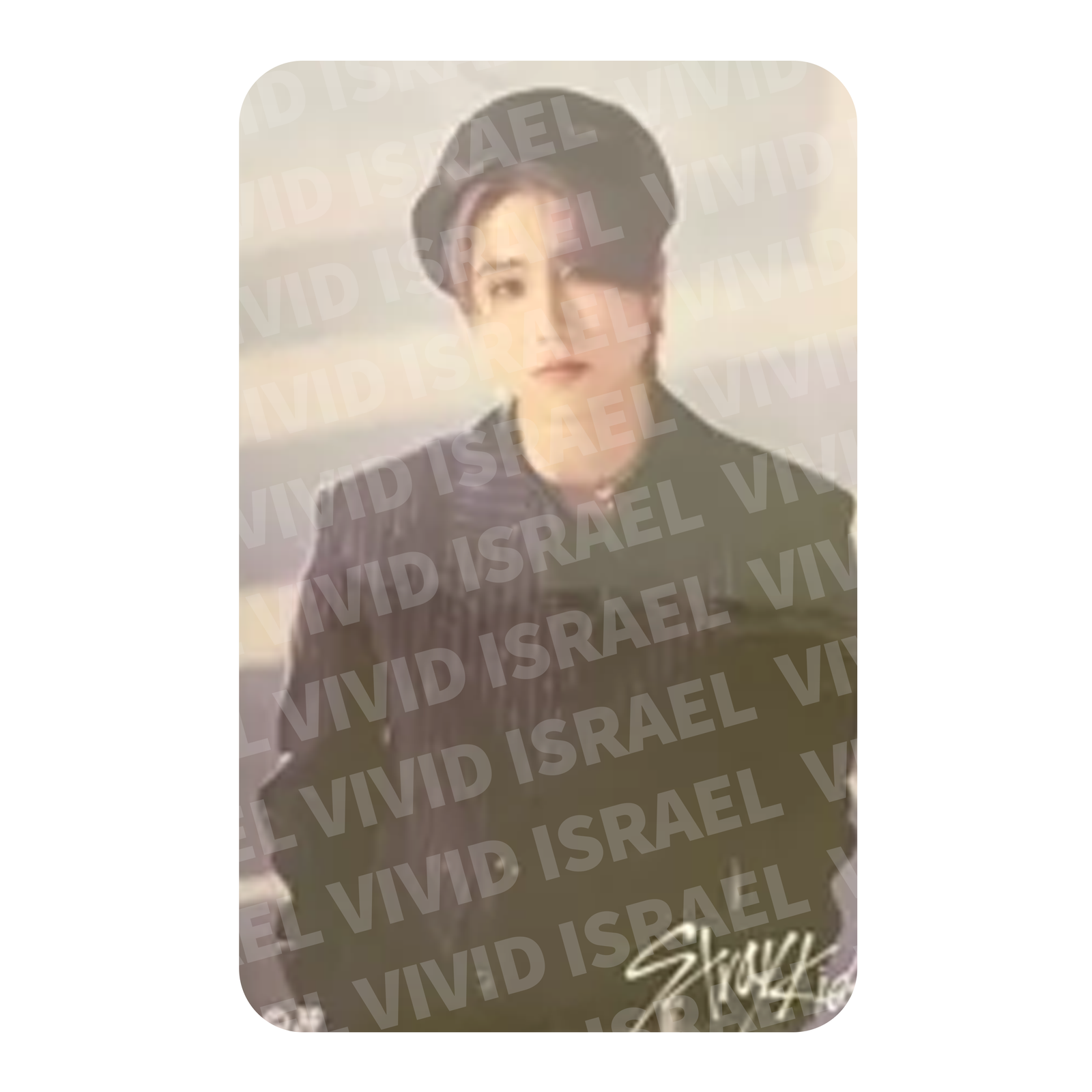 STRAY KIDS HAN - 5-STAR Dome FC Japan Sticker Photocard