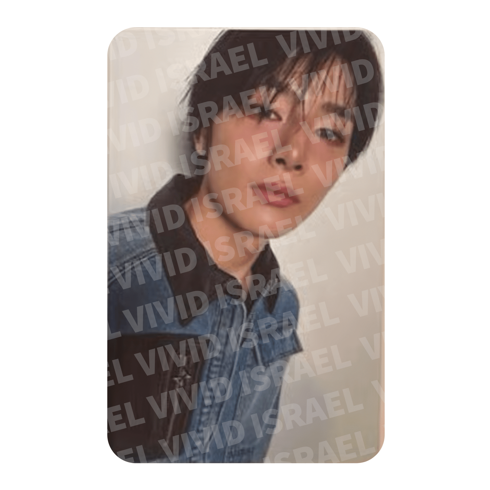 STRAY KIDS I.N – Hollow STANDARD Photocard