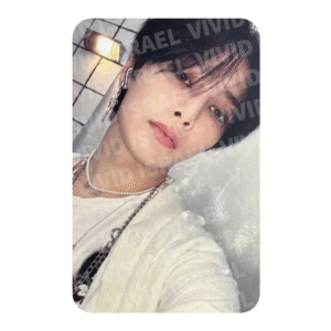 STRAY KIDS I.N – 樂-STAR (ROCK-STAR) Photocard
