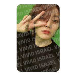 STRAY KIDS I.N – ATE Accordion ver. Photocard