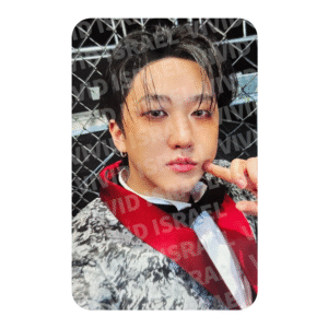 STRAY KIDS CHANGBIN – KARMA Accordion Photocard
