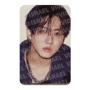 STRAY KIDS CHANGBIN – KARMA Skzoo Photocard