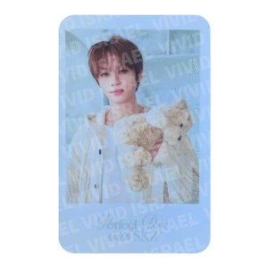 STRAY KIDS LEE KNOW – Perfect Day with SKZ Polaroid Photocard
