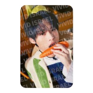STRAY KIDS LEE KNOW – SKZ'S MINI WORLD Photocard