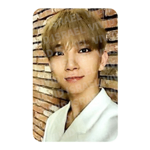 SEVENTEEN JOSHUA – An Ode BEGIN Photocard