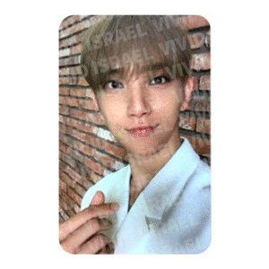 SEVENTEEN JOSHUA – An Ode BEGIN Photocard