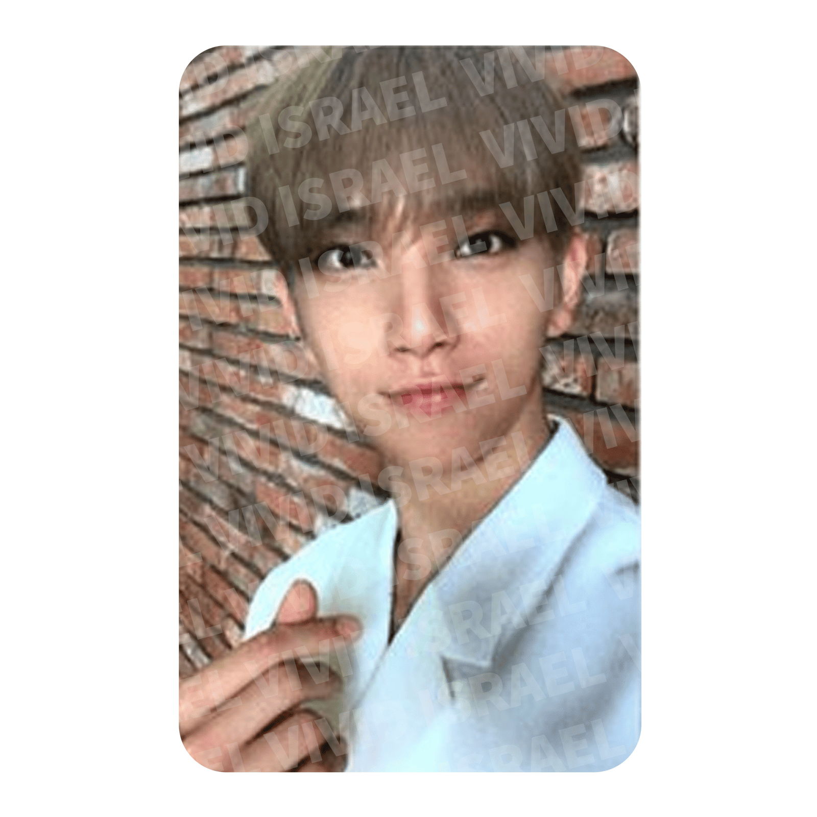 SEVENTEEN JOSHUA – An Ode BEGIN Photocard