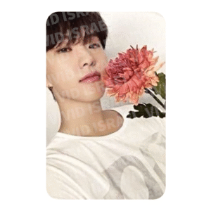 SEVENTEEN HOSHI – 17 IS RIGHT HERE Dear ver. Photocard