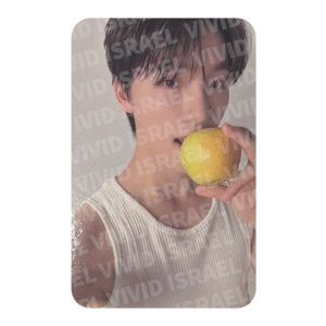 SEVENTEEN DINO – 17 IS RIGHT HERE Dear ver. Photocard