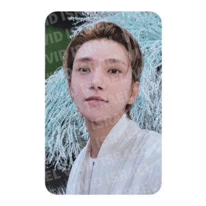SEVENTEEN JOSHUA – SECTOR 17 New Heights Photocard