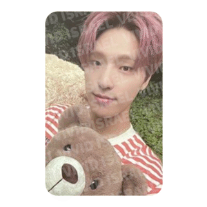 SEVENTEEN DINO – DICON Photocard