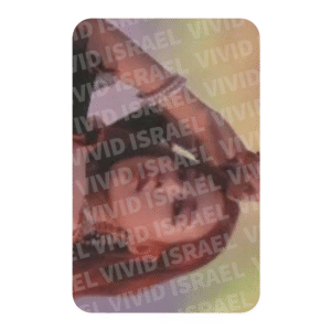 BLACKPINK ROSE – Square Up Photocard