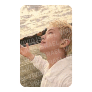 SEVENTEEN HOSHI – TELEPARTY Weverse Photocard