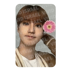 STRAY KIDS HAN – NACIFIC PHOTOCARD