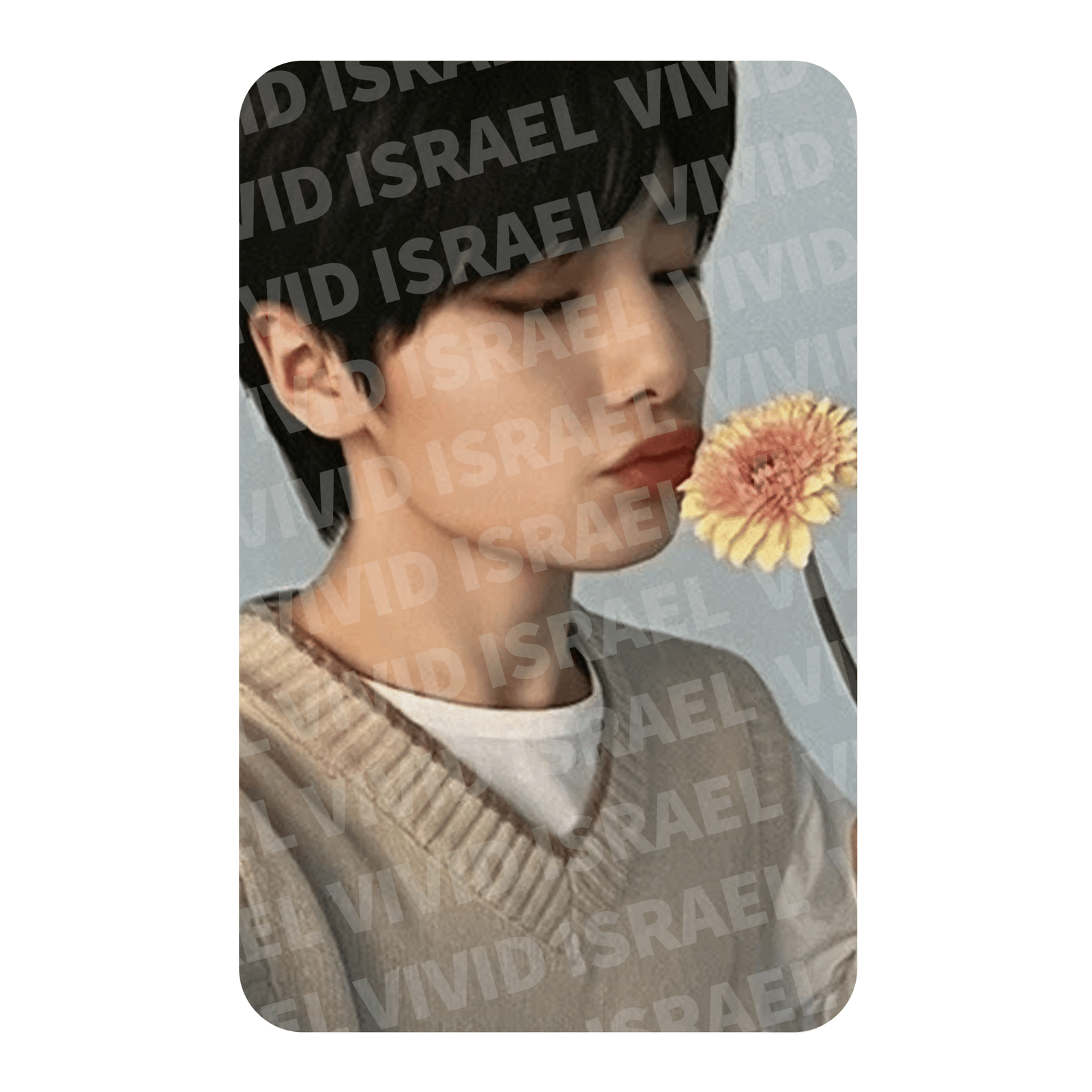 STRAY KIDS I.N – NACIFIC PHOTOCARD