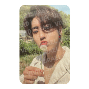 STRAY KIDS HAN – Maxident Photocard