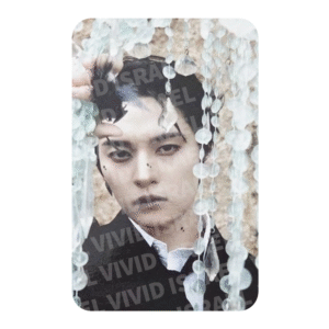 STRAY KIDS LEE KNOW – DO IT Nemo Photocard