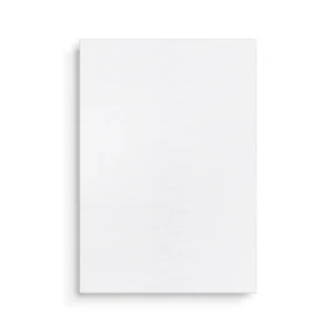 [בהזמנה מראש] BTS - [ARIRANG] Living Legend Ver