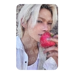 ENHYPEN NI-KI – THE SIN : VANISH Fugitive ver. Photocard