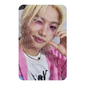 STRAY KIDS FELIX – dominATE celebrATE World Tour Photocard