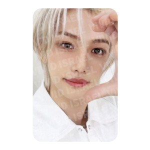 STRAY KIDS FELIX – 2024 SEASON'S GREETINGS – Perfect Day with SKZ Photocard