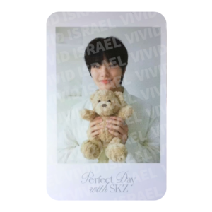 STRAY KIDS I.N – Perfect Day with SKZ Polaroid Photocard
